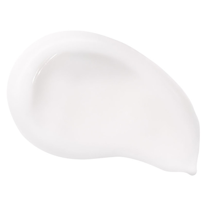 Pure Canvas Primer