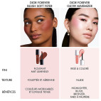 Dior Forever Blush Soft Filter 02