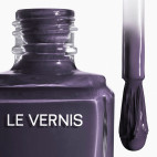 LE VERNIS 371