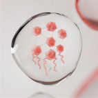 Gel Lacté Relipidant