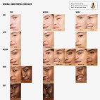 Original Liquid Mineral Concealer 6N