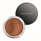 All Over Face Color Loose Bronzer Warmth