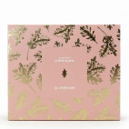 Coffret Chêne Blanc