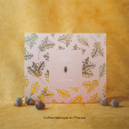 Coffret Chêne Blanc
