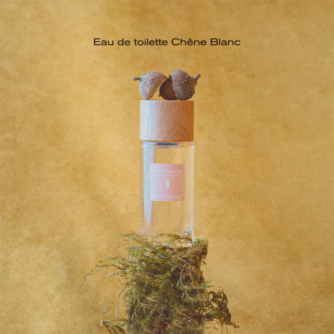 Coffret Chêne Blanc