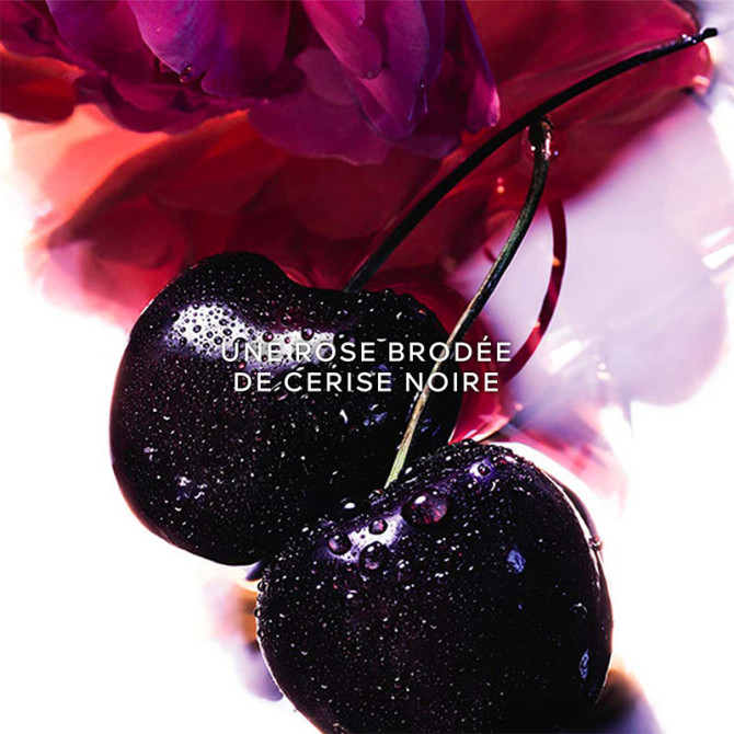 La Petite Robe Noire