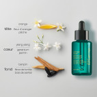 Ultimate Reset: Olio concentrato per una riparazione estrema