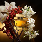 The One 50 ml