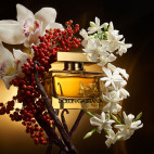 The One 75 ml