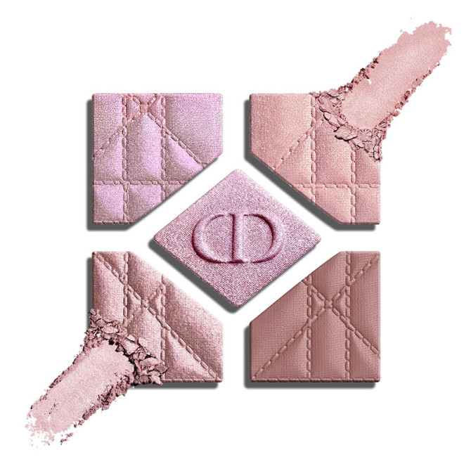 Diorshow 5 Couleurs 855