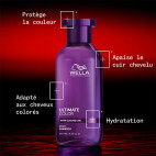 Champú