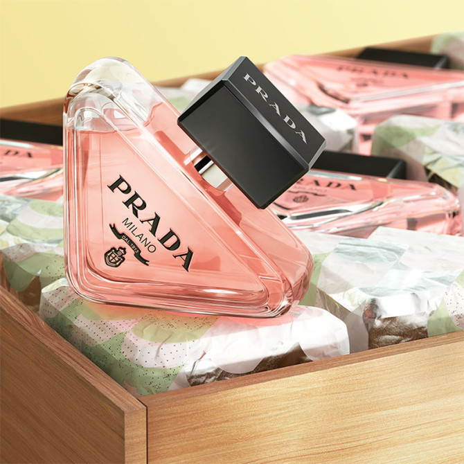 Coffret Paradoxe