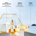 Coffret Abeille Royale
