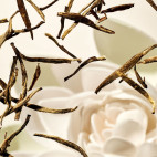 Crème Solaire Visage SPF 30