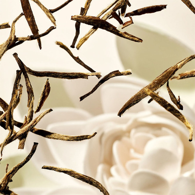 Crème Solaire Visage SPF 30