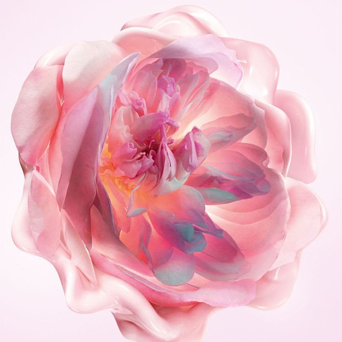 Miss Dior Crème Mains Fondante