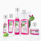 Shampoing sec Brillance
