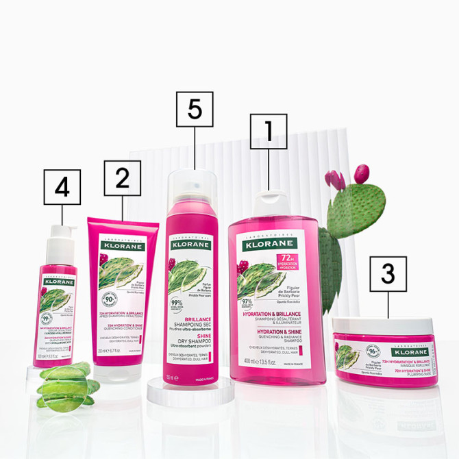 Shampoing sec Brillance