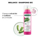 Shampoing sec Brillance
