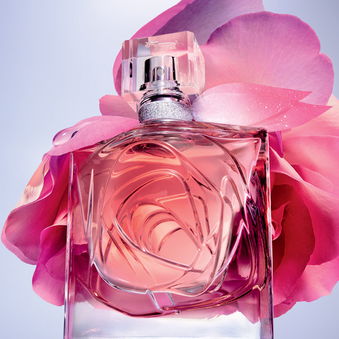 Life Is Beautiful: Extraordinary Rose