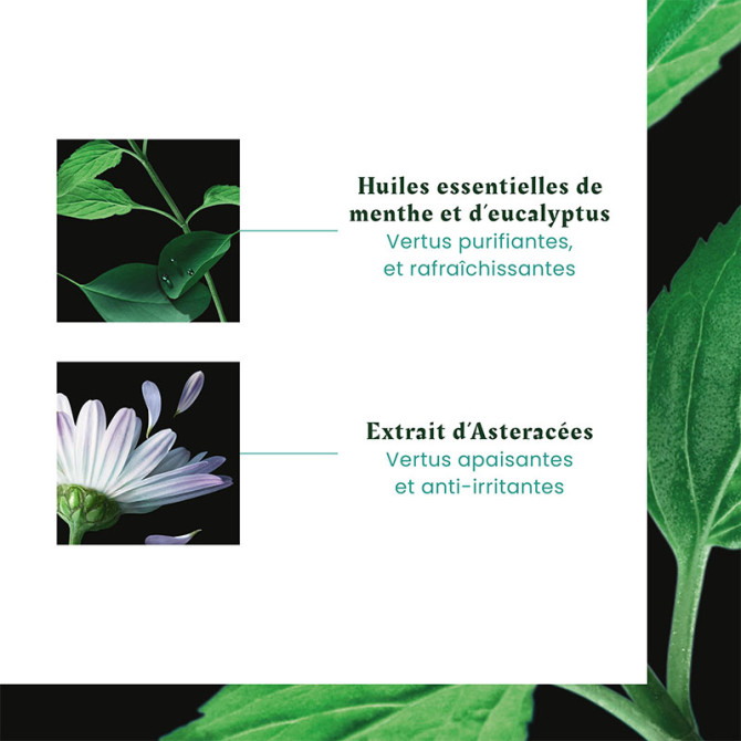 ASTERA FRESH SERUM APAISANT FRAICHEUR