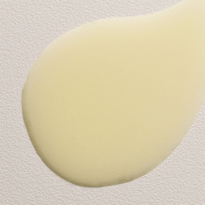 DEDE Leave-in Conditioner