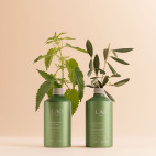Shampoo purificante