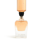 Jour d'Hermès Absolu - Recambio