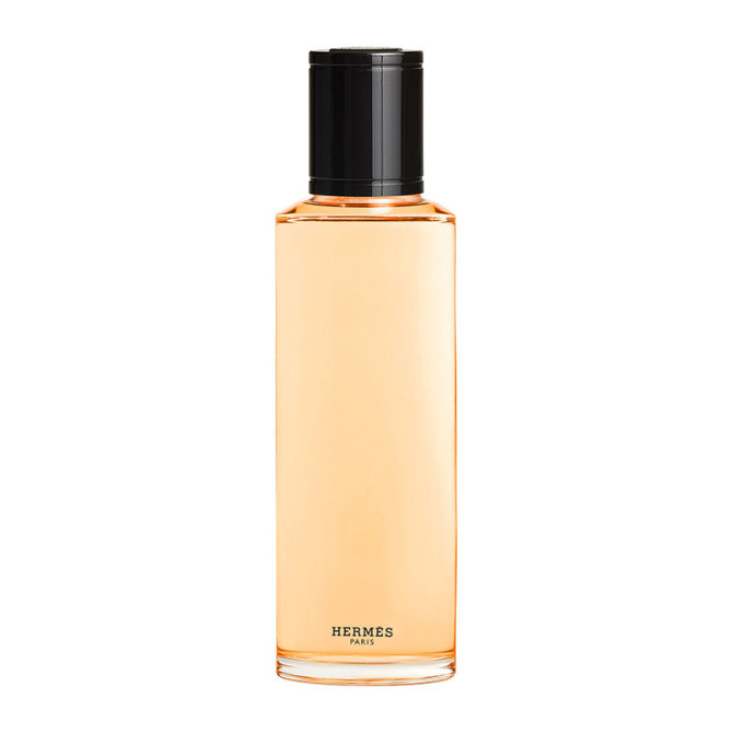 Jour d'Hermès Absolu - Recambio