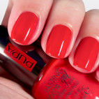 LASTING COLOR GEL