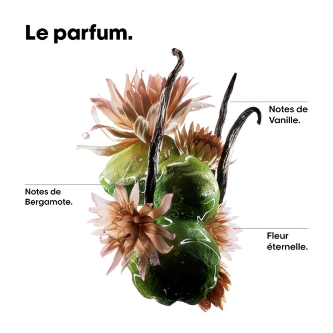 Absolut Repair Molecular-Set