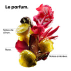 Coffret Vitamino Color Spectrum