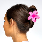 Pinces Fleurs Tropicales