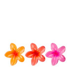 Pinces Fleurs Tropicales