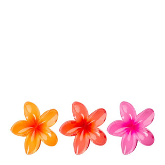 Pinces Fleurs Tropicales