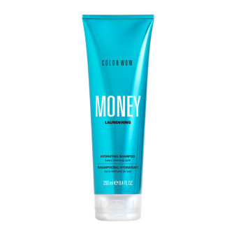 Money Laundering