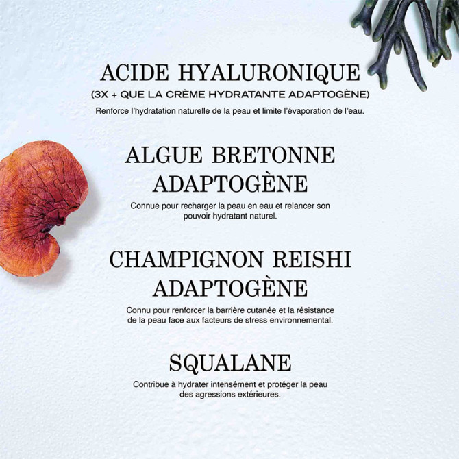 Source Hydra+ Baume Lèvres