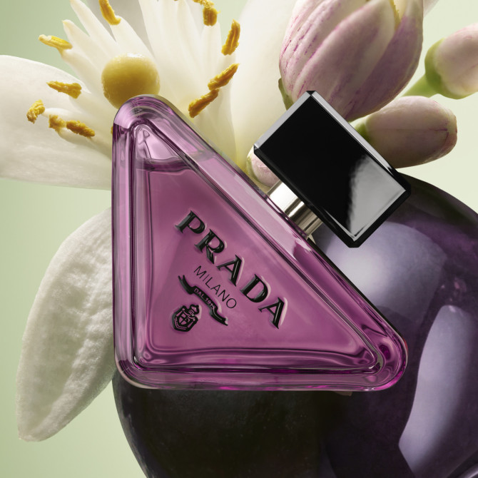 Paradoxe Sweet Chemistry