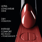 Rouge Dior On Stage 550