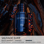 Sauvage Elixir