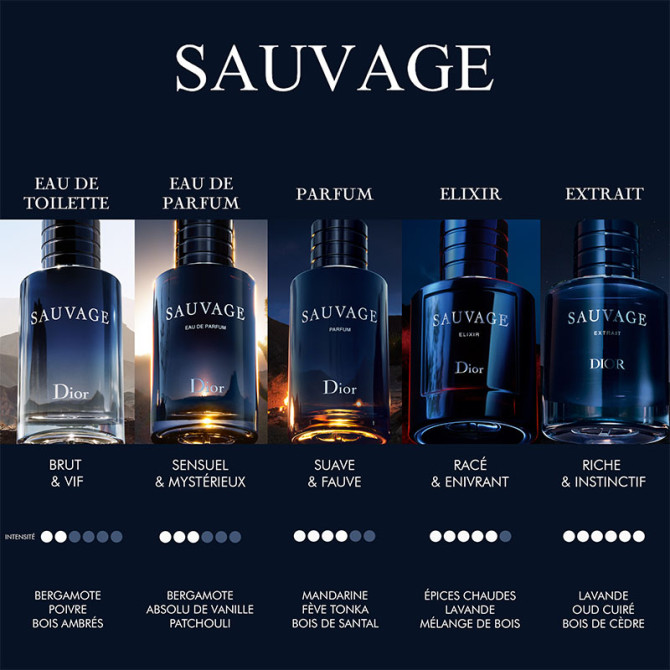 Sauvage Elixir
