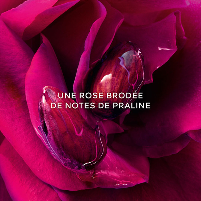 Coffret La Petite Robe Noire