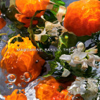 Coffret Aqua Allegoria Mandarine Basilic Forte