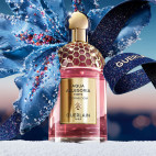 Coffret Aqua Allegoria Florabloom Forte