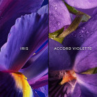 Coffret Insolence