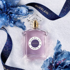 Coffret Insolence