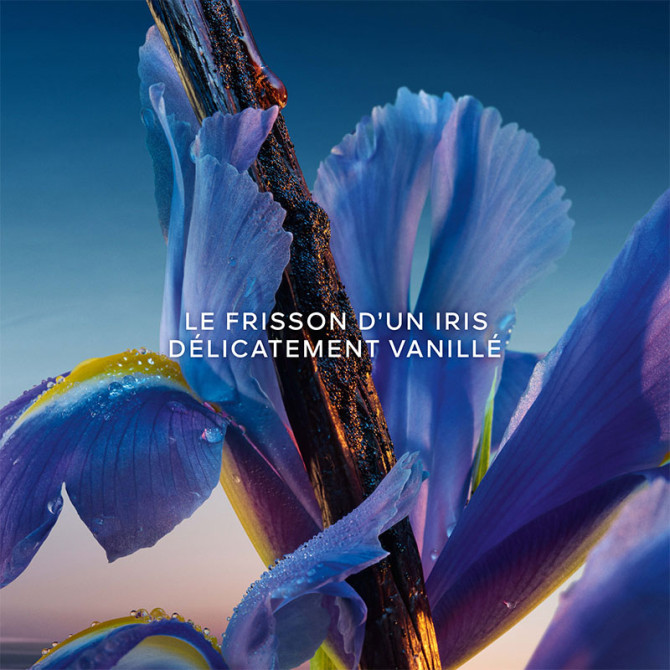 Coffret L'Heure Bleue