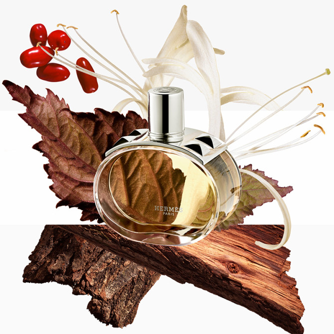 Coffret Barénia