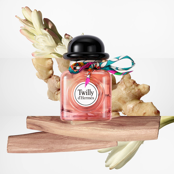 Coffret Twilly d’Hermès