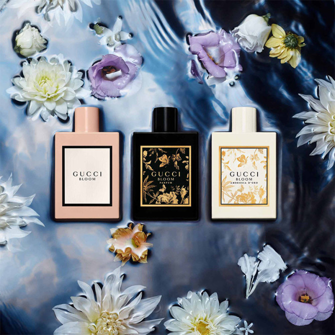 Gucci Bloom Ambrosia d'Oro